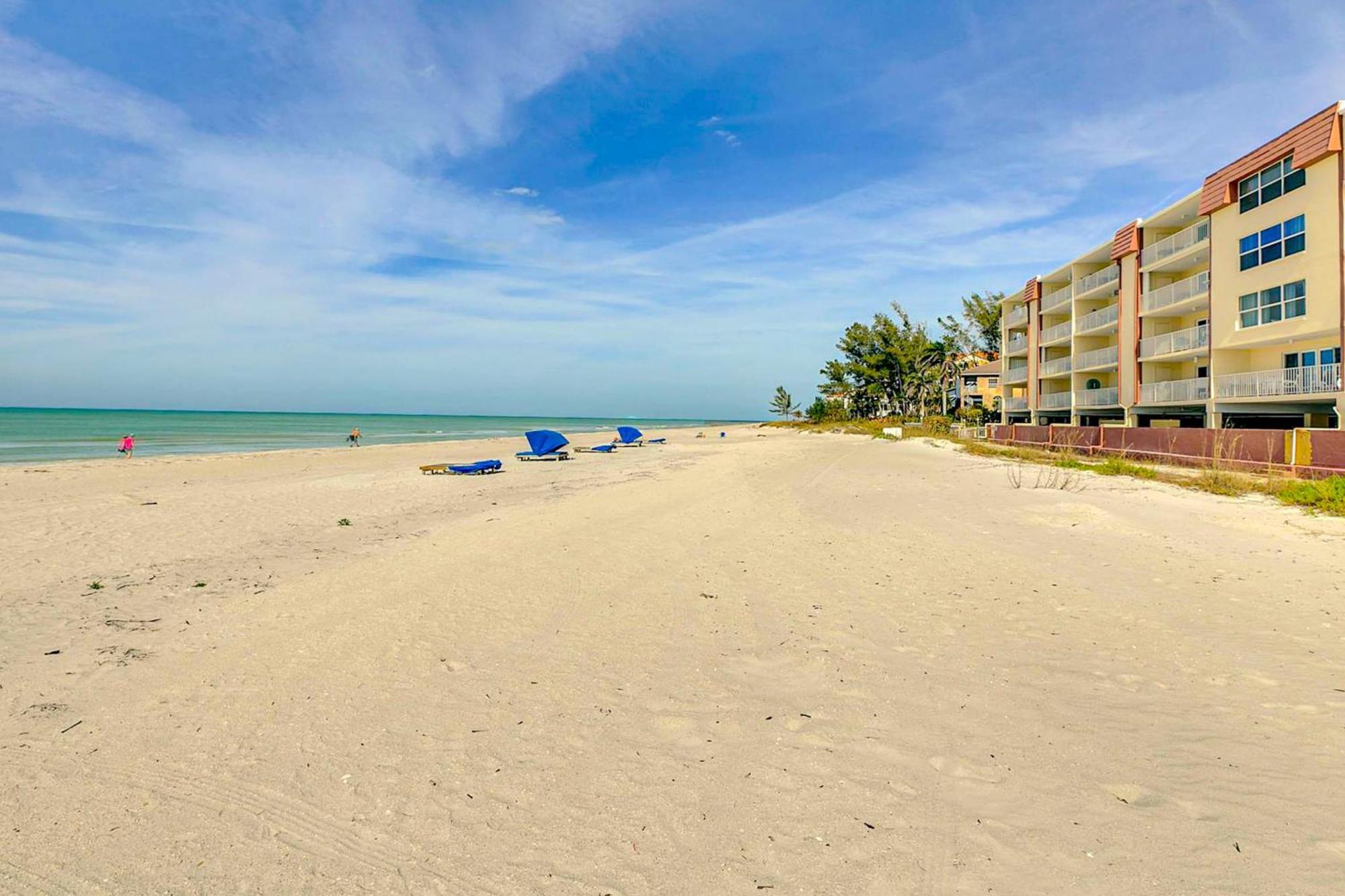 Tropical Paradise Clearwater Beach Camera foto