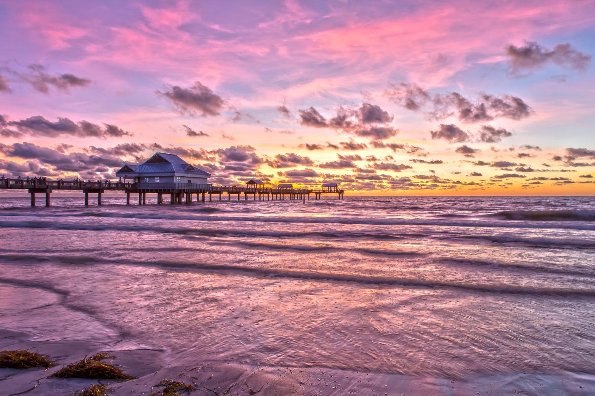 Tropical Paradise Clearwater Beach Camera foto