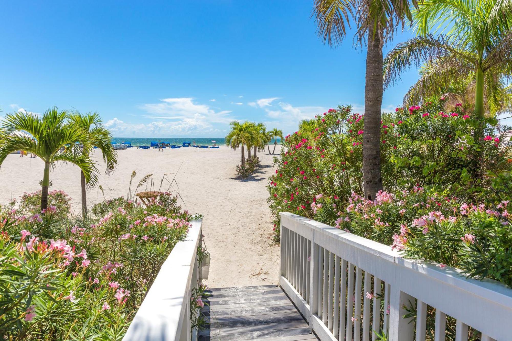Tropical Paradise Clearwater Beach Camera foto